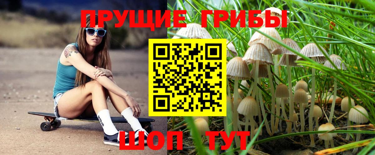 Псилоцибиновые грибы MAGIC MUSHROOMS Ипатово